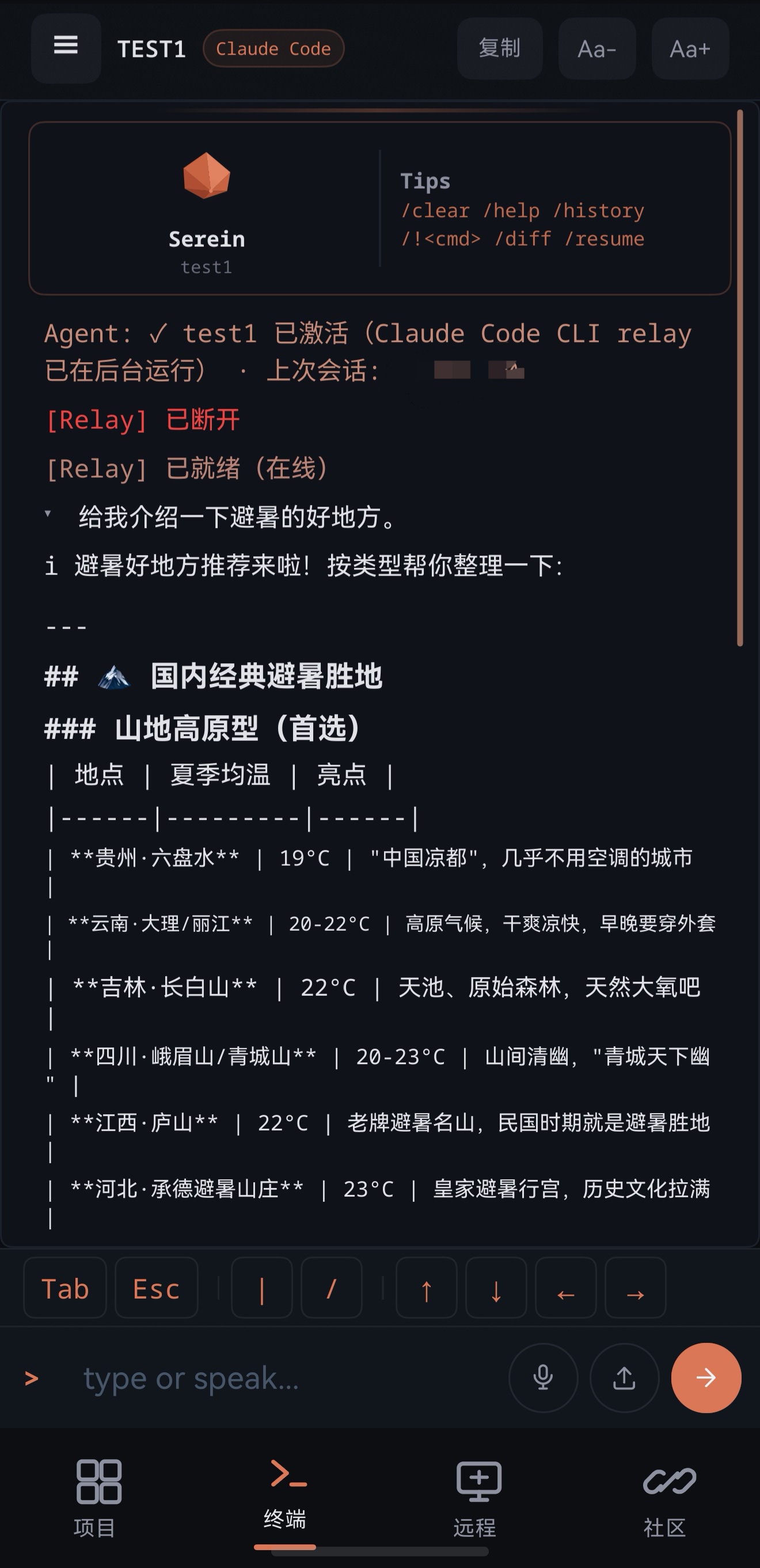 Serein 终端会话截图
